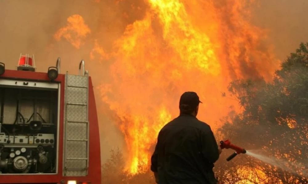 Σπάρτη: Υπό μερικό έλεγχο η φωτιά στην περιοχή Δαφνί